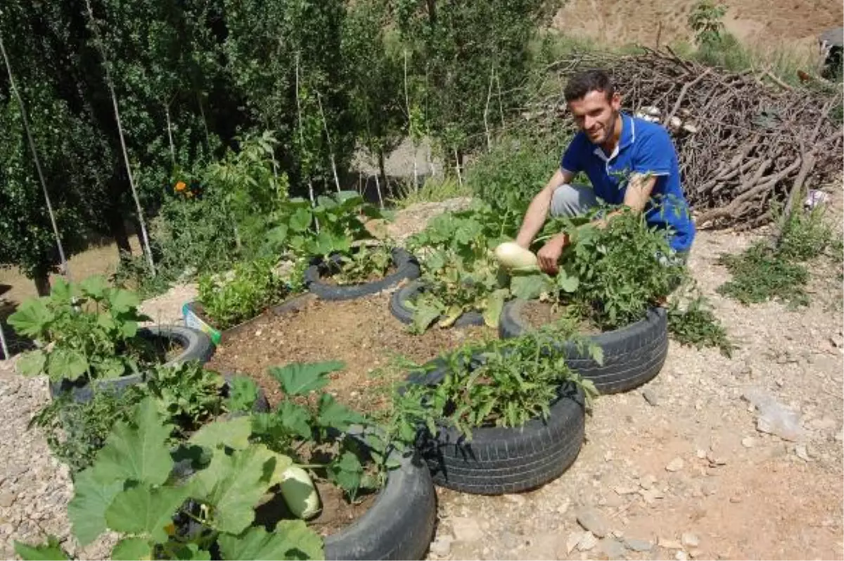 Lastik Bahçesinden Ürün Almaya Başladı