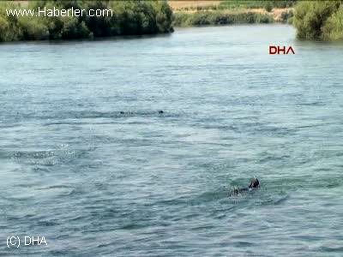 Gaziantep Suriyeli Sığınmacı Barajda Kayboldu