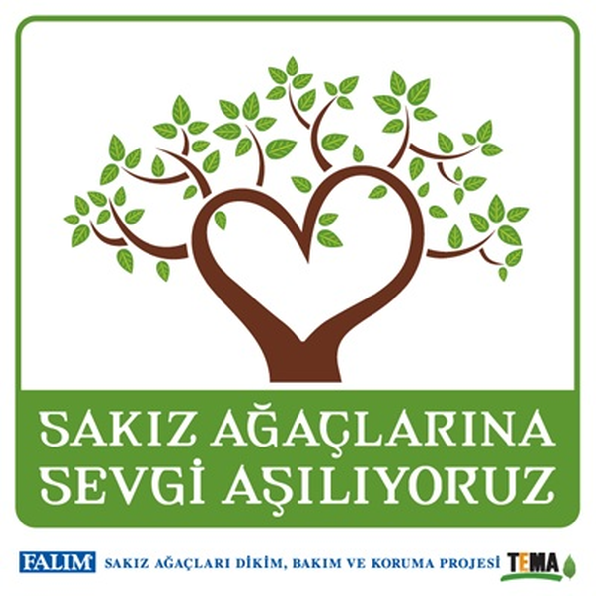 Sakız Ağaçlarına Sevgi Aşılıyoruz Projesi