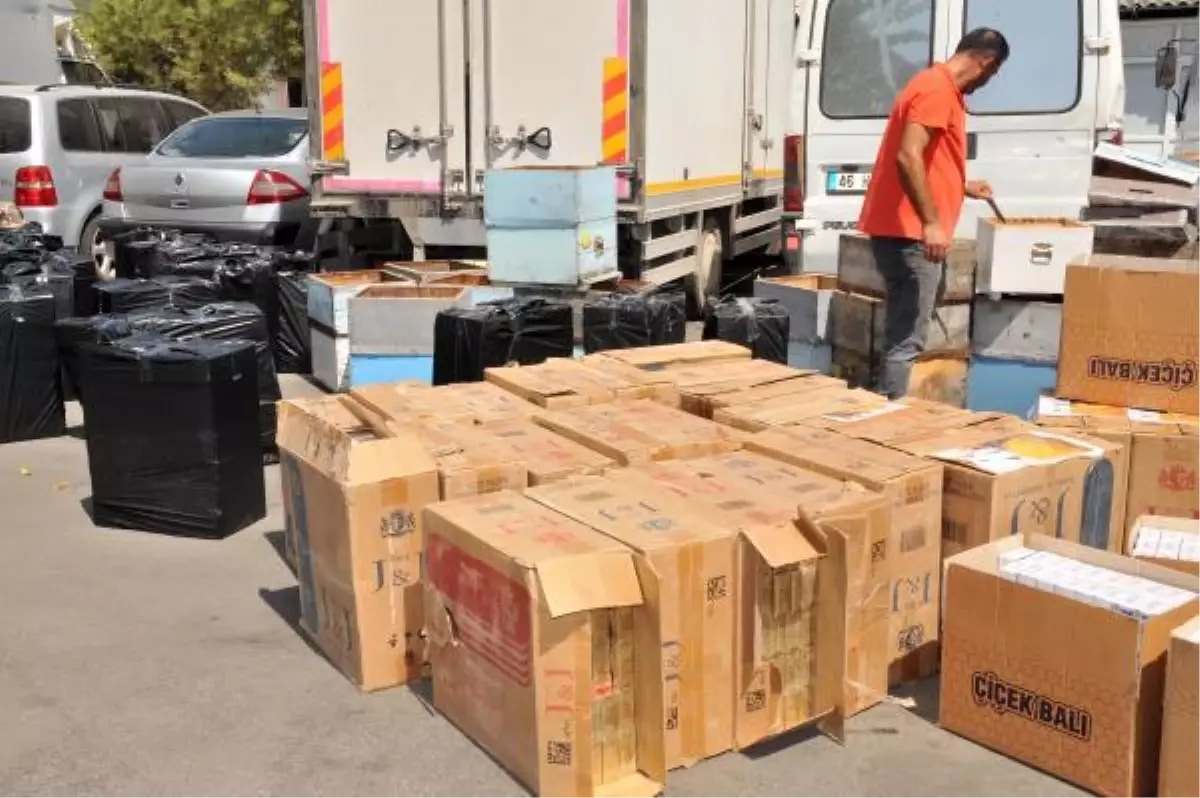Arı Kovanından Kaçak Sigara Çıktı