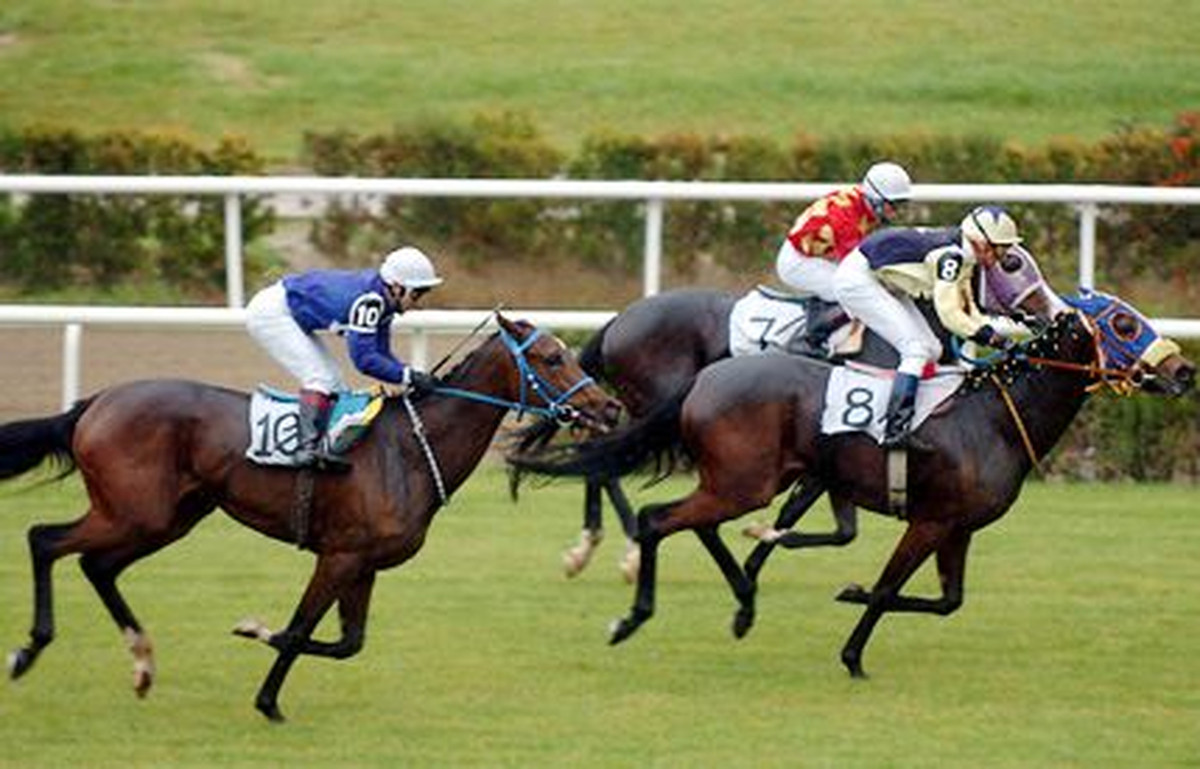 Bursa\'da Altılı Ganyan 2 Milyon Liraya Yakın İkramiye Verdi