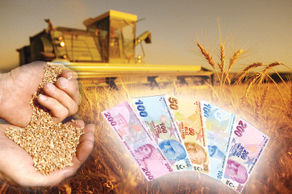 Destekleme Ödemeleri İçin Başvuru 1 Kasım\'da Son