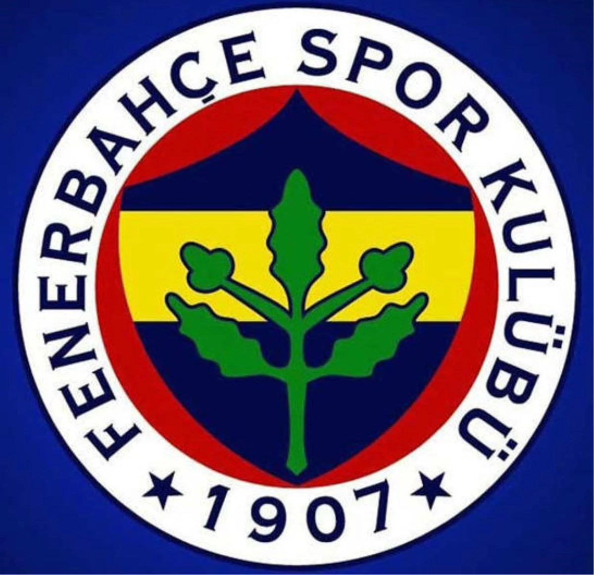 Fenerbahçe\'nin Lig Tarihindeki Serüveni