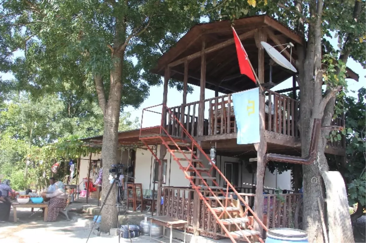 (Özel Haber) 14 Yıldır Kendi Yaptıkları Ahşap Evde Yaşıyorlar