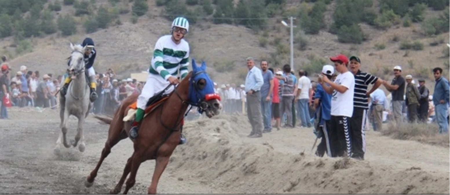 Tosya\'da At Yarışları Düzenlendi