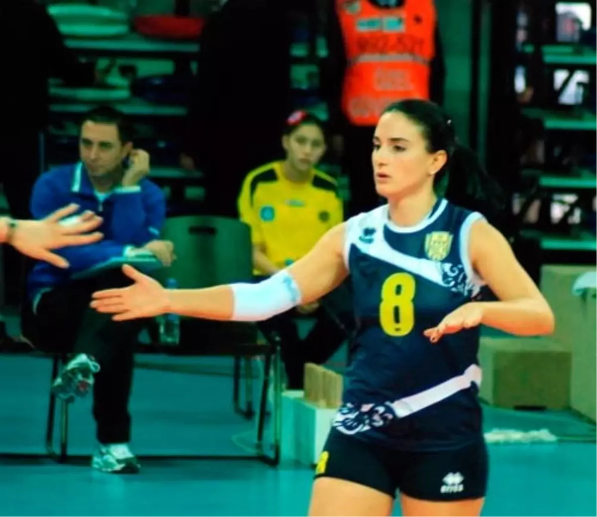 Voleybolda Transfer