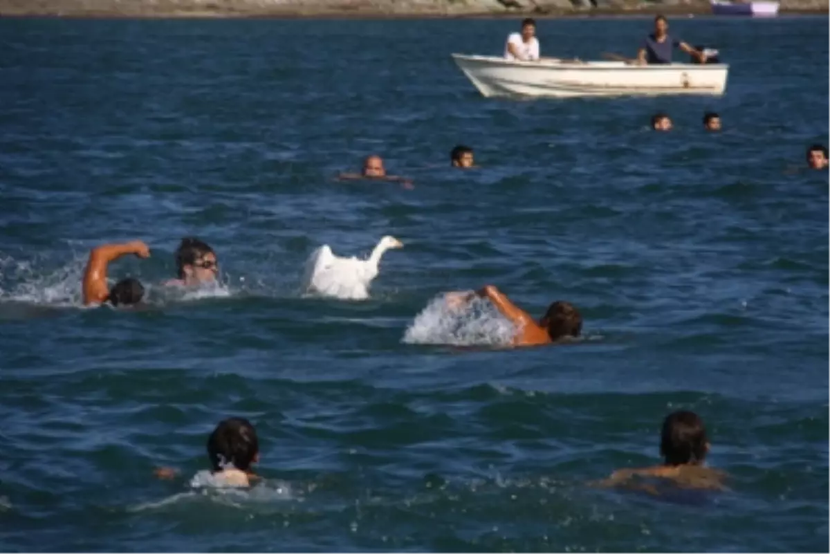 29. Abana Kültür, Sanat ve Deniz Şenlikleri