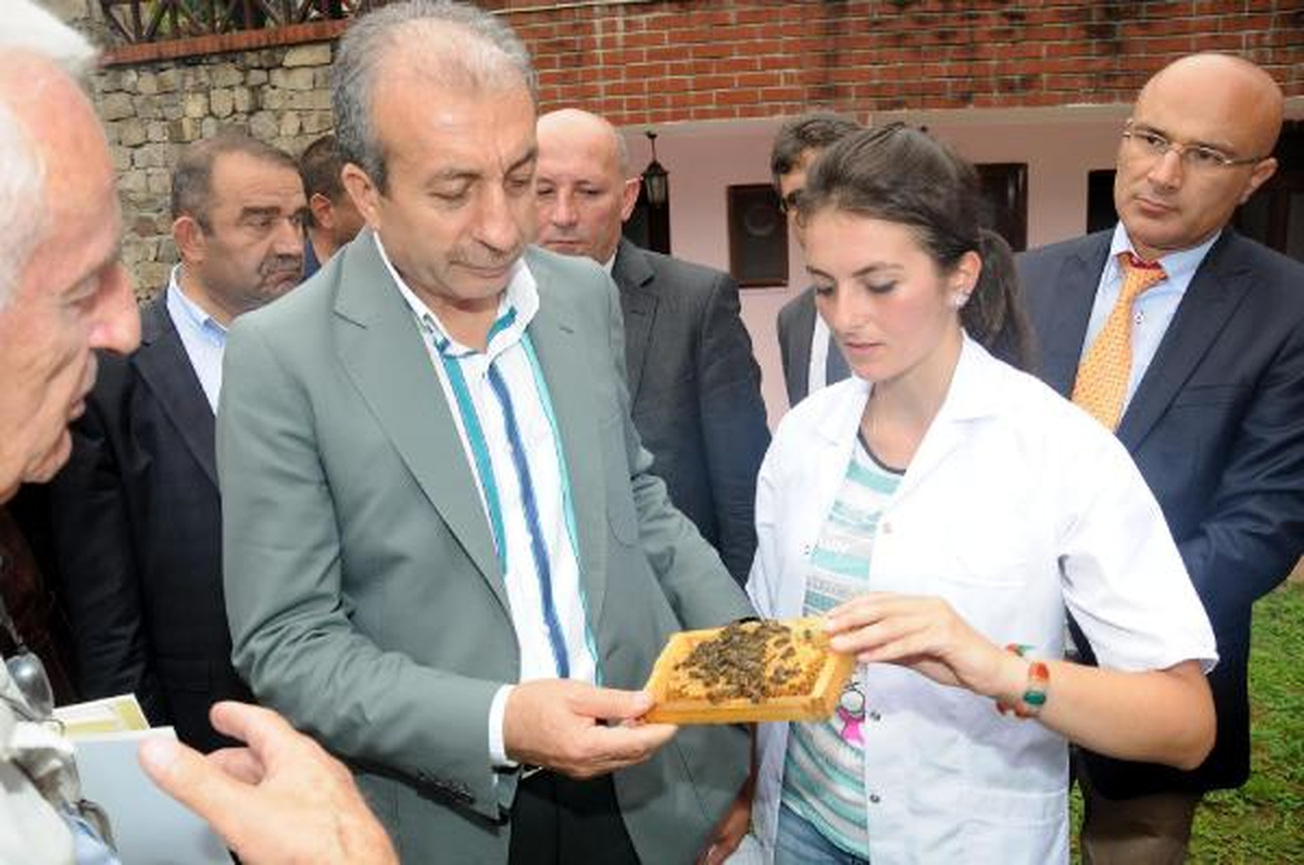Bakan Eker Saf Kafkas Arı ve Bal Festivali\'ne Katıldı