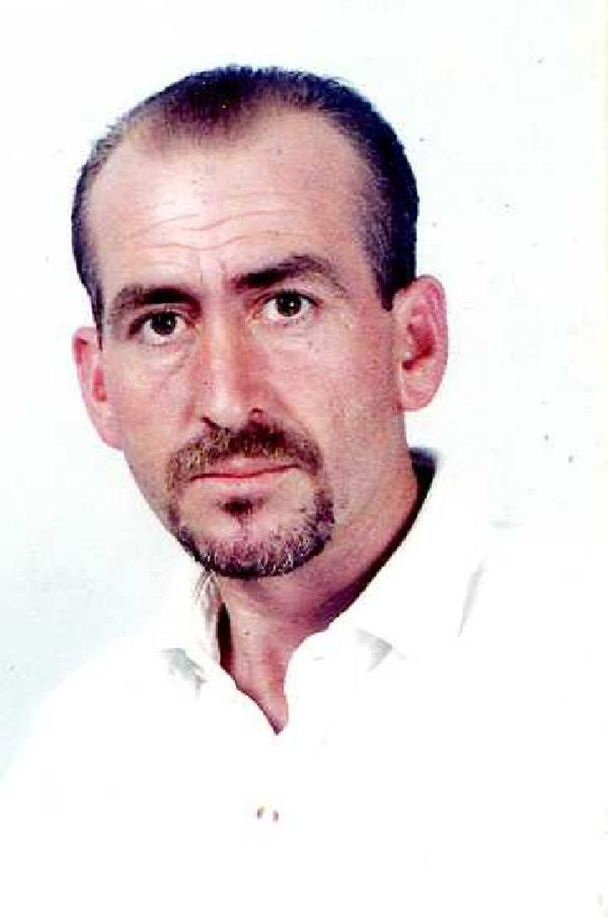 Bal Toplarken Arı Soktu, Öldü