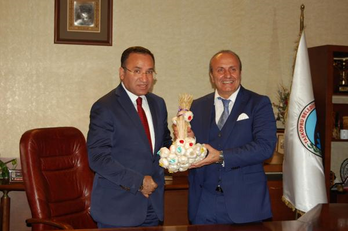 Başbakan Yardımcısı Bekir Bozdağ Taşköprü Festivalinde Buzağı Emzirdi