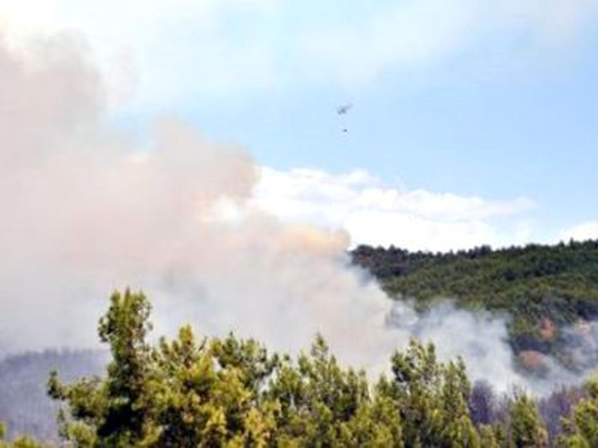 Manavgat\'ta Orman Yangını (2)