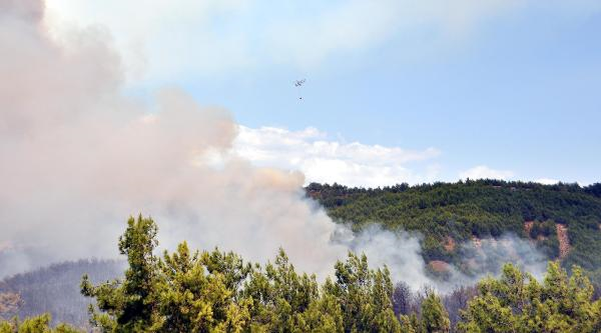 Manavgat\'taki Orman Yangını Kontrol Altına Alındı