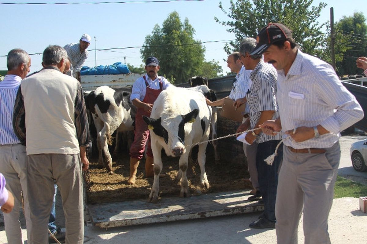 Nakliyecilere Yetki ve Yeterlilik Belgesi Zorunluluğu