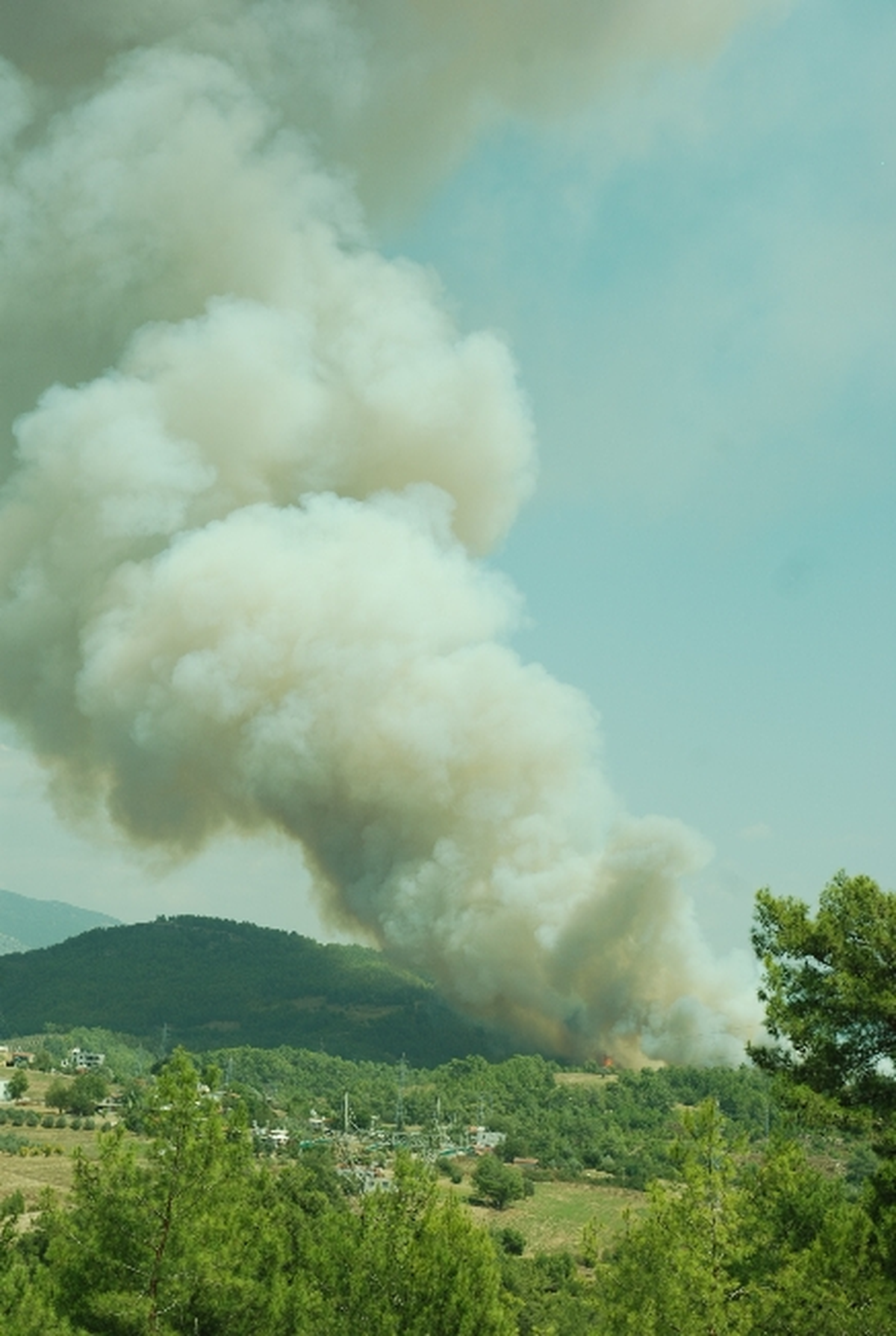 Orman Yangını Büyük Ölçüde Kontrol Altına Alındı