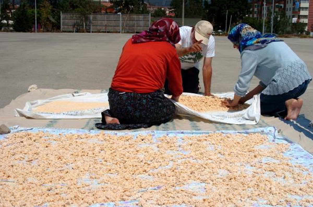 Tarhana Kurumaya Bırakıldı
