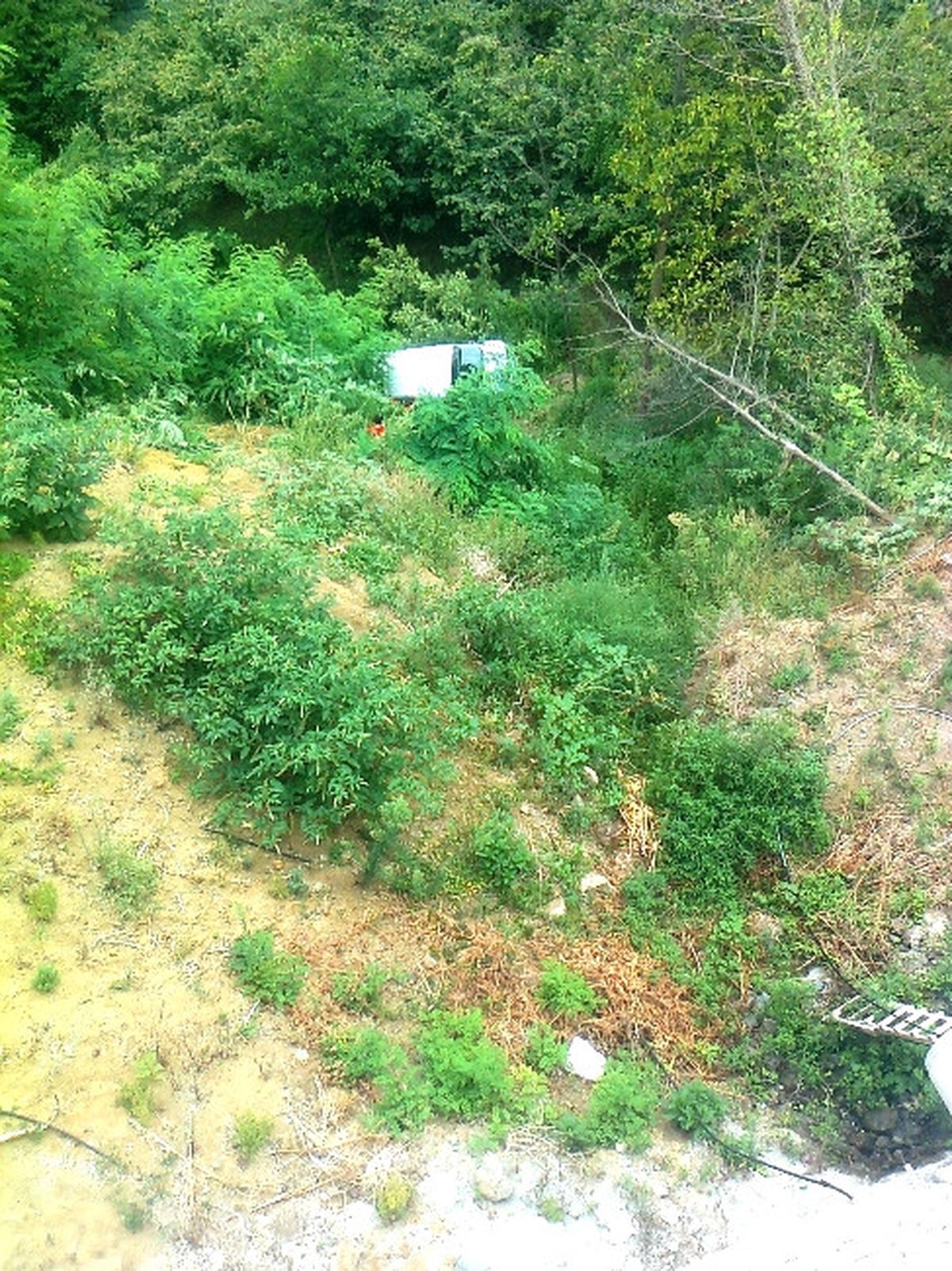 Trabzon\'da Trafik Kazası: 18 Yaralı
