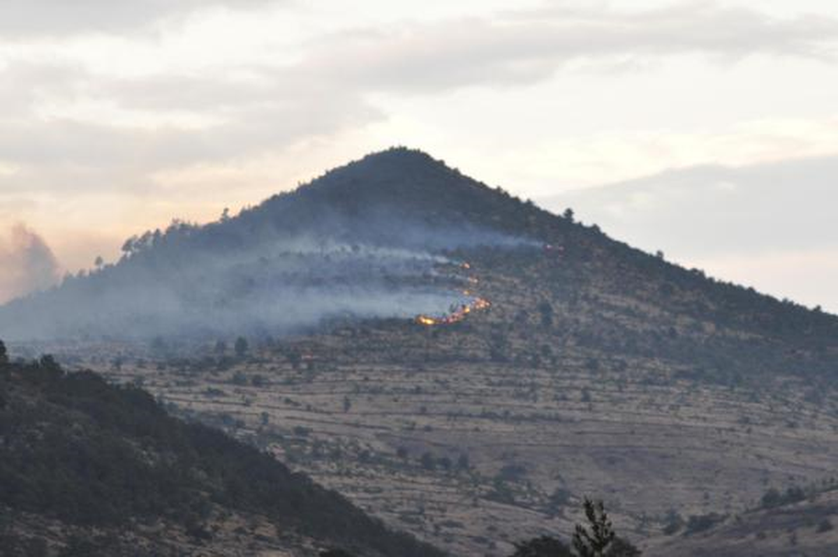 Uşak\'ta Orman Yangını
