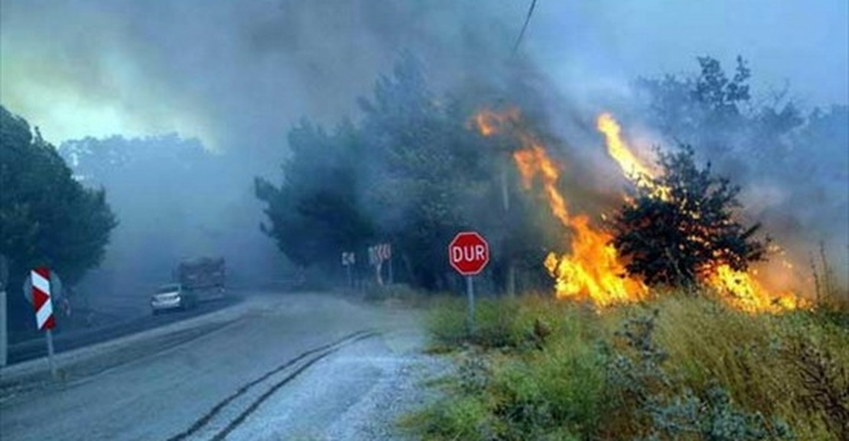 Uşak\'ta Orman Yangını
