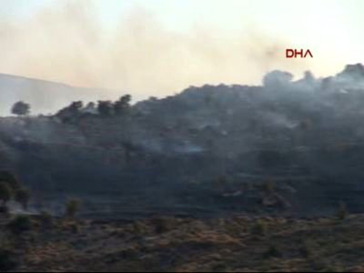 Bodrum\'da Makilik ve Otluk Alanda Yangın