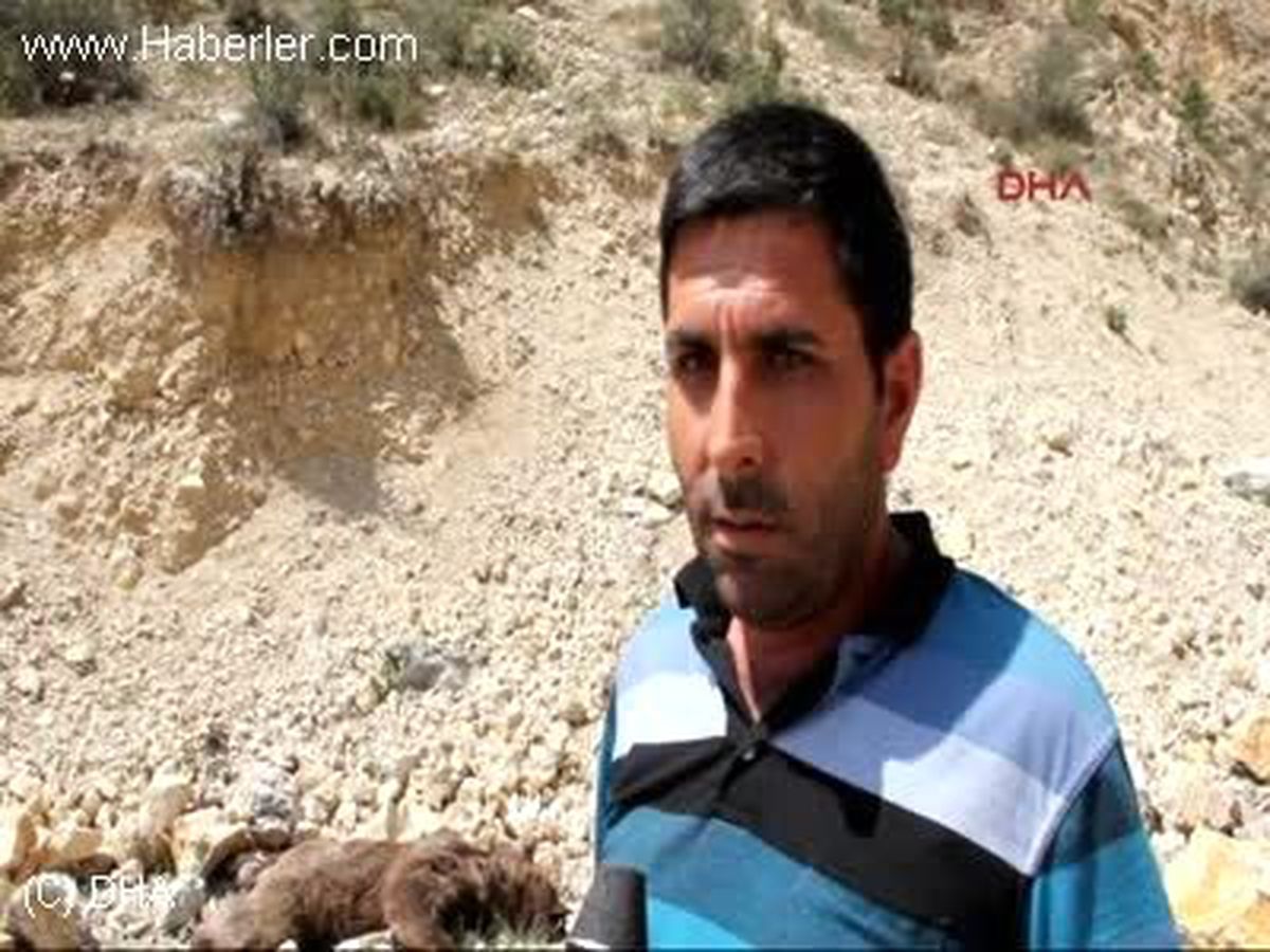 Erzurum\'da Boz Ayıyı Vurdular