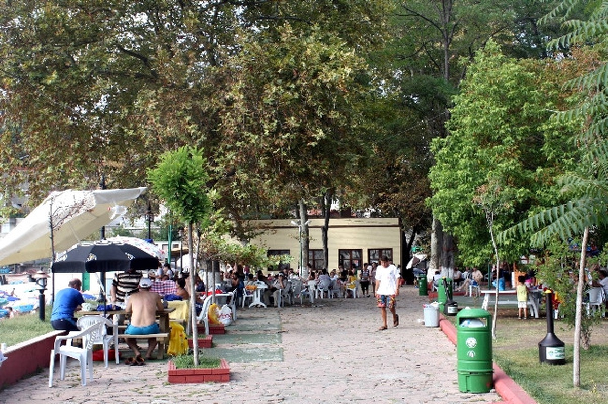 Kapuz Plajındaki Yaşlı Ağaçlar Vatandaşlara Zor Anlar Yaşatıyor
