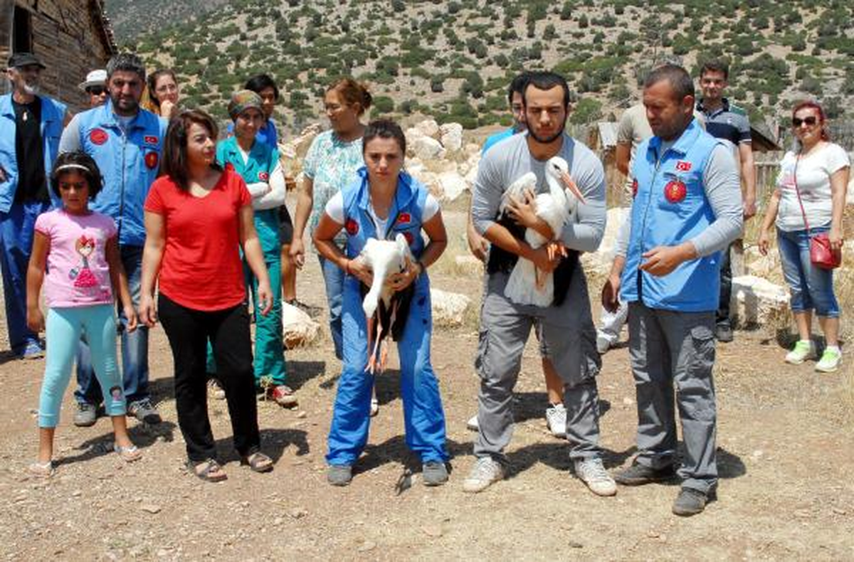 Lisinia'da Tedavi Edilen 8 Yabani Kuş Doğaya Bırakıldı