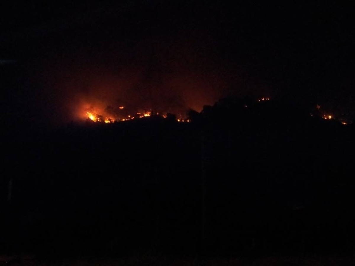 Muğla Alevlere Teslim Oldu