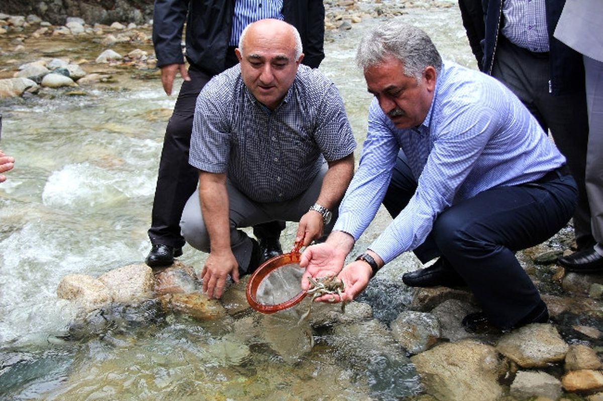 Senoz Vadisine 10 Bin Kırmızı Benekli Alabalık Bırakıldı