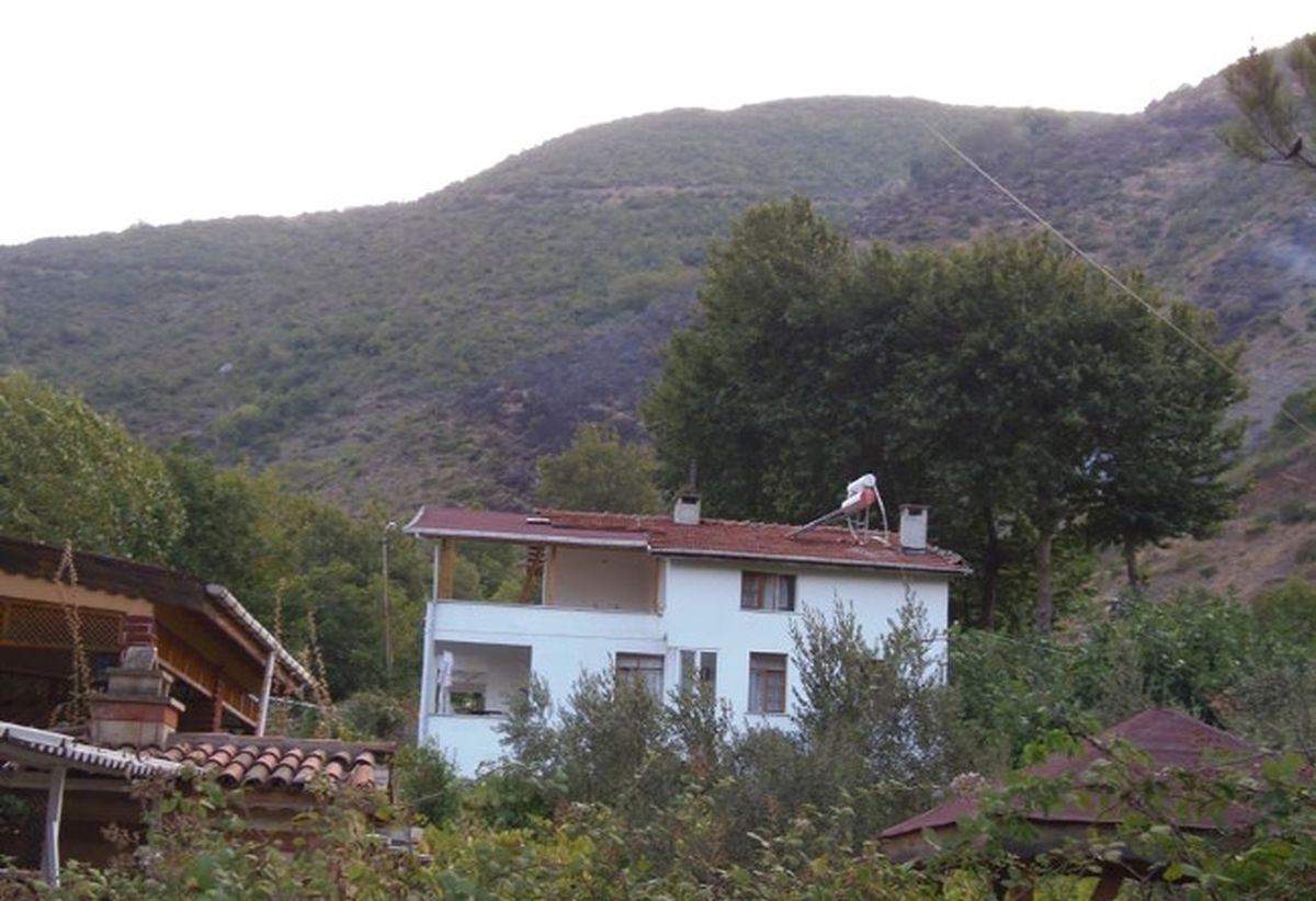 Tekirdağ\'da Orman Yangını