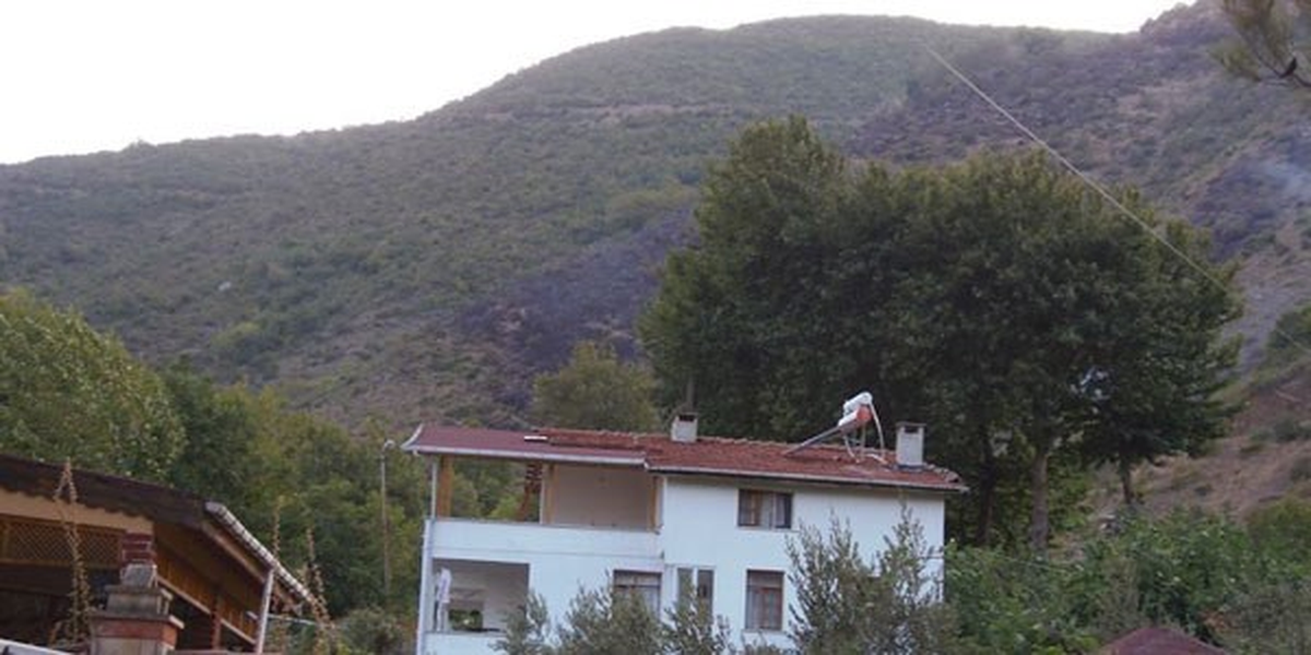 Tekirdağ\'da Orman Yangını