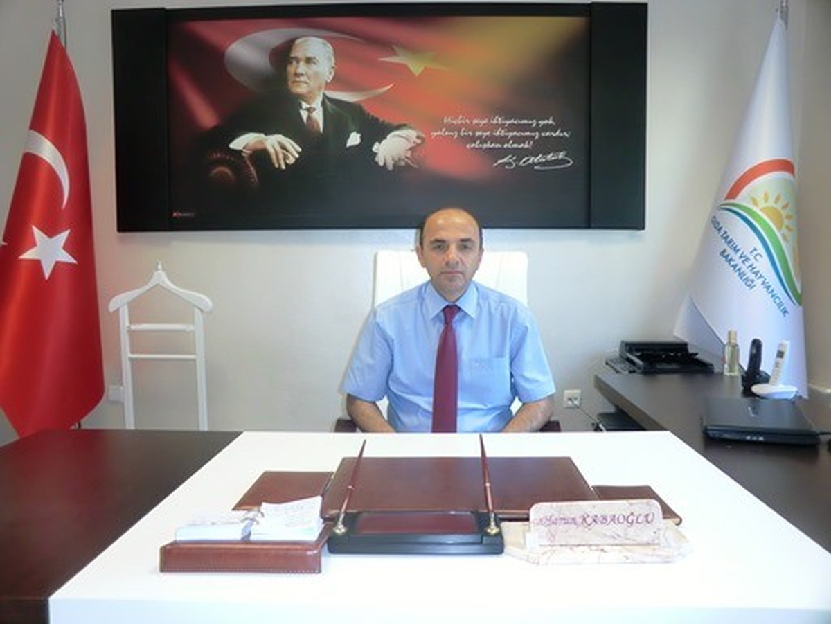 Alan Bazlı Fındık Desteğinden Yararlanamayanlar İçin Son Bir Şans