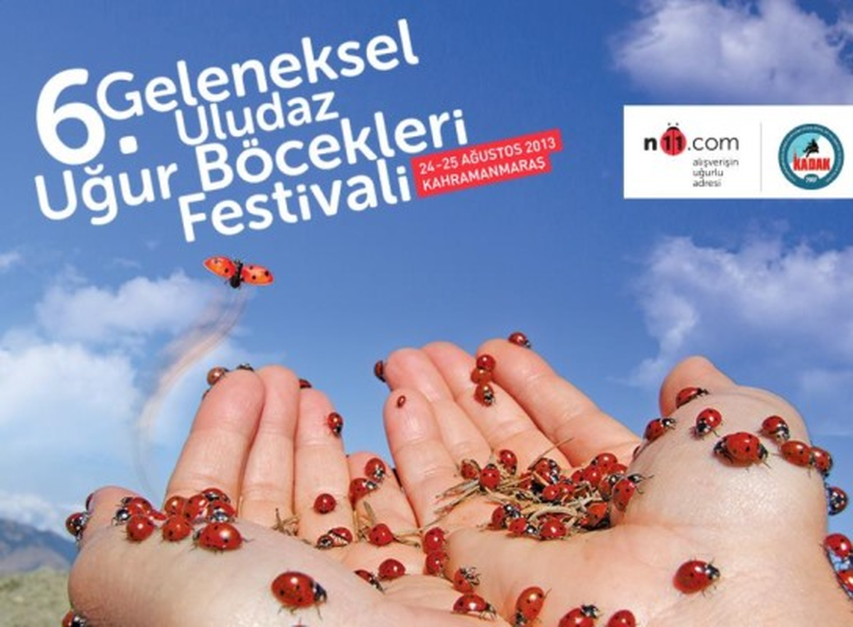 Alışverişin 'Uğurlu' Adresi N11.Com, Uğur Böcekleri'nin Yanında!