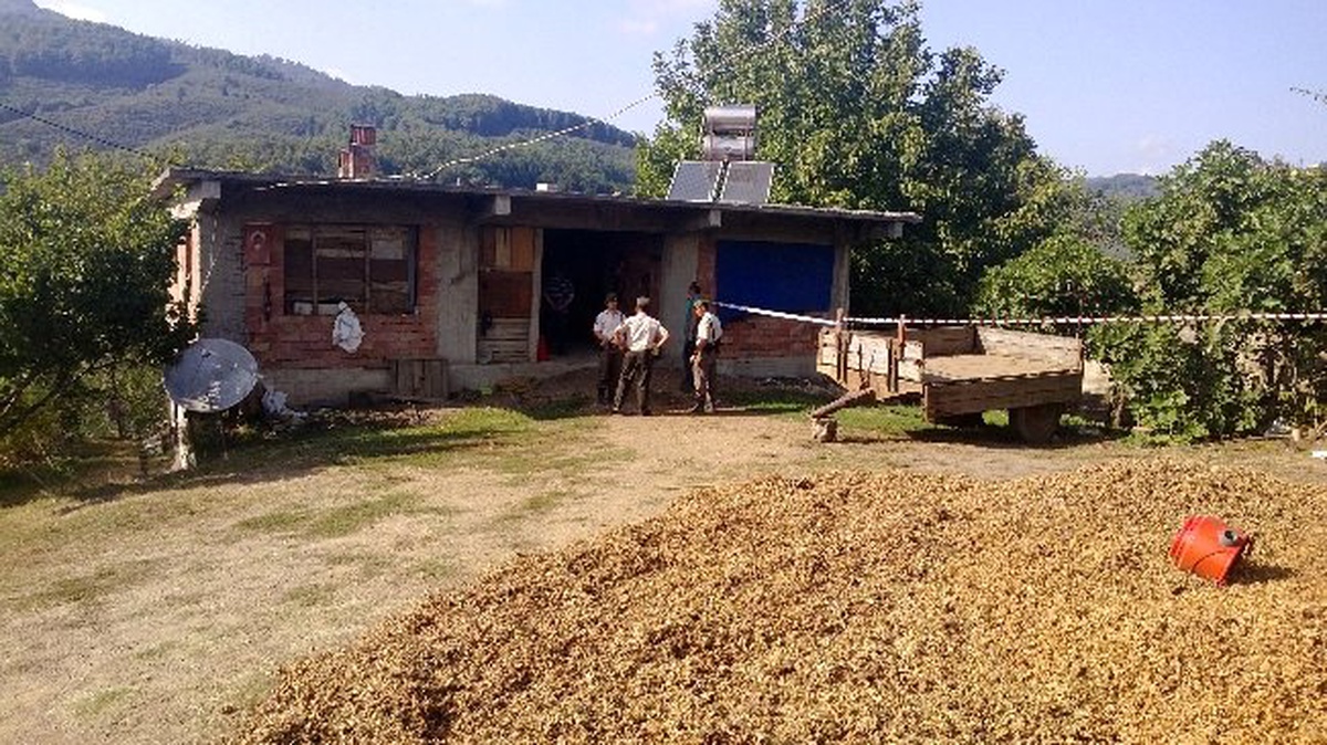 Düzce\'de Bir Abi, Arazi Yüzünden İki Kardeşini Öldürdü