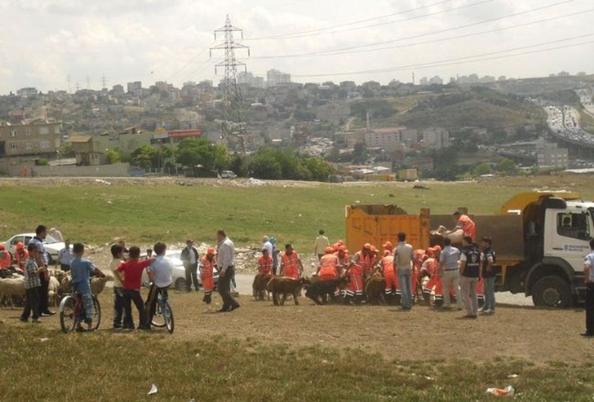 Başakşehir\'de Kurbanlık Pazarlarına Sıkı Denetim
