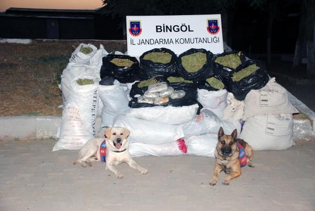 Bingöl\'de Geniş Kapsamlı Uyuşturucu Operasyonu