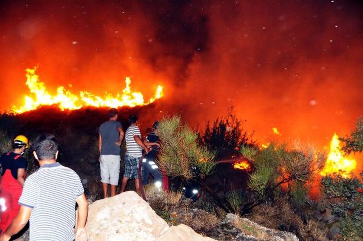 Bodrum\'da Makilik ve Tarım Arazisinde Yangın (2)