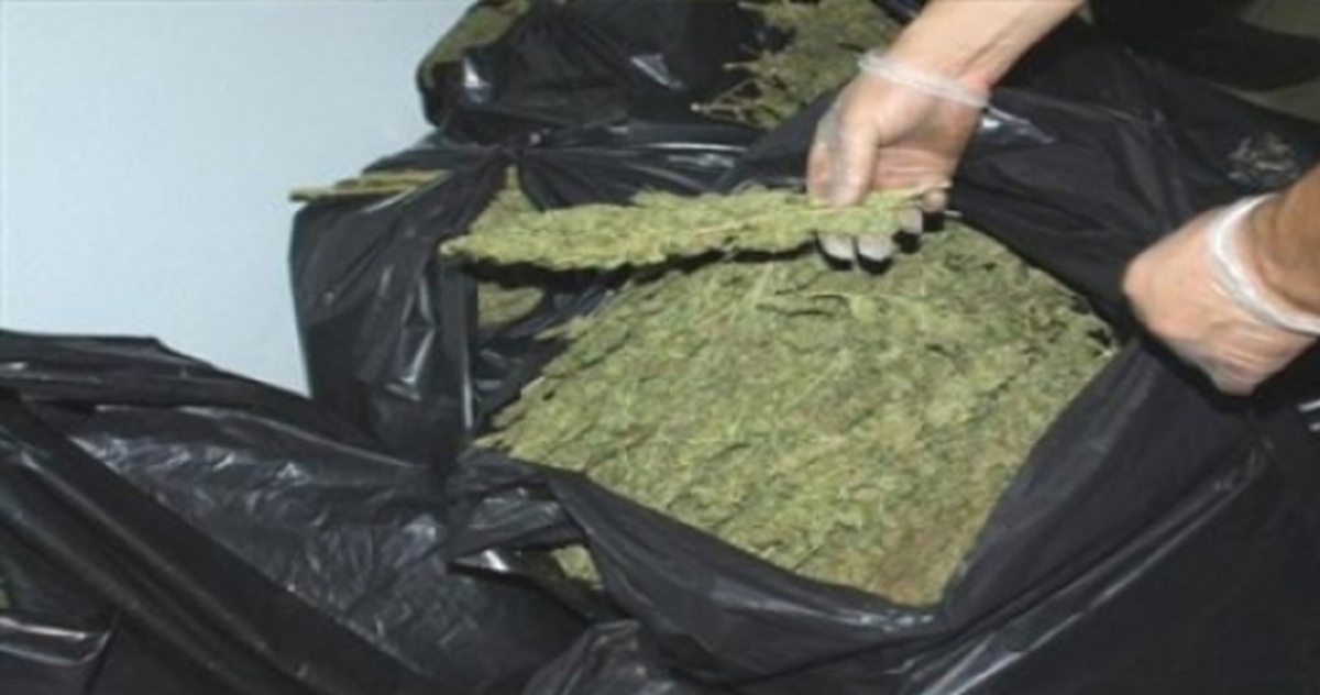Diyarbakır\'da 32 Kilogram Esrar Ele Geçirildi