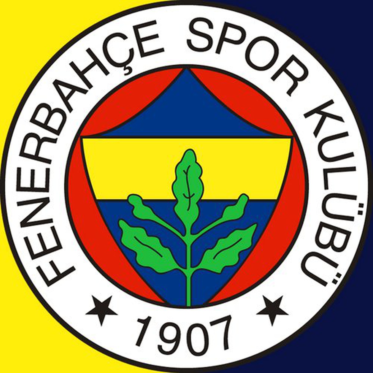 Fenerbahce Futbol A.s. Bılanco 16.08.2013 20:47:52