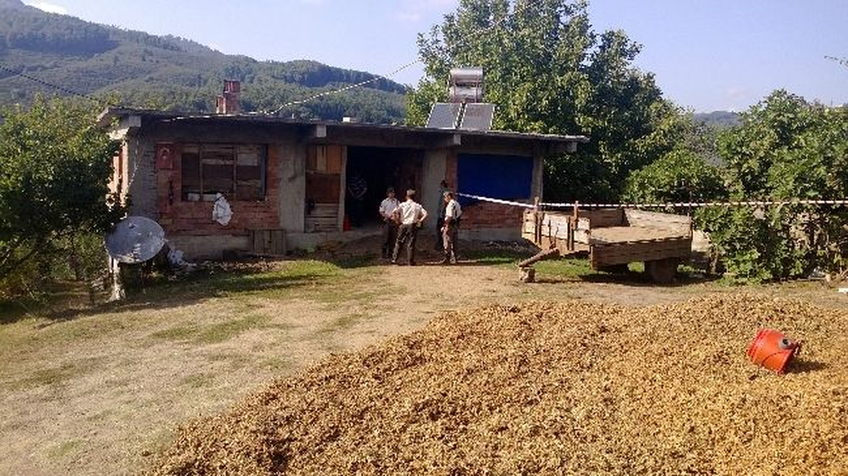 Fındık Bahçesi İçin İki Kardeşini Öldürdü