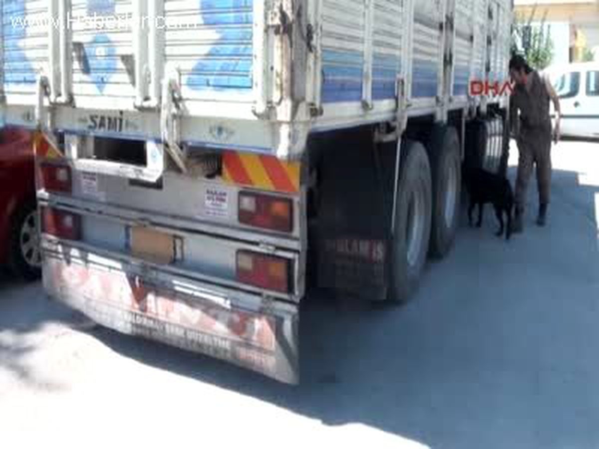 Gaziantep Kamyondaki Kaçak Sigaraları Eğitimli Köpek \'Melo\' Buldu
