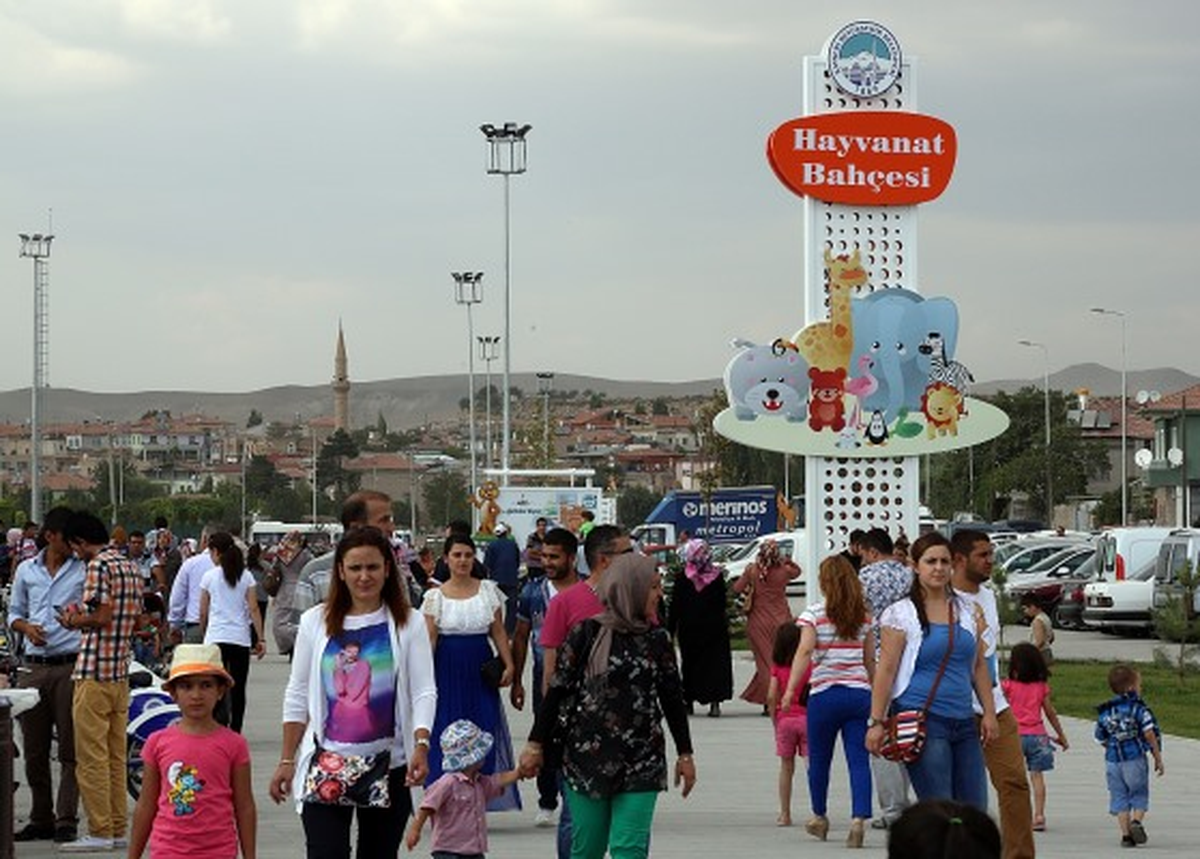 Harika İlgi