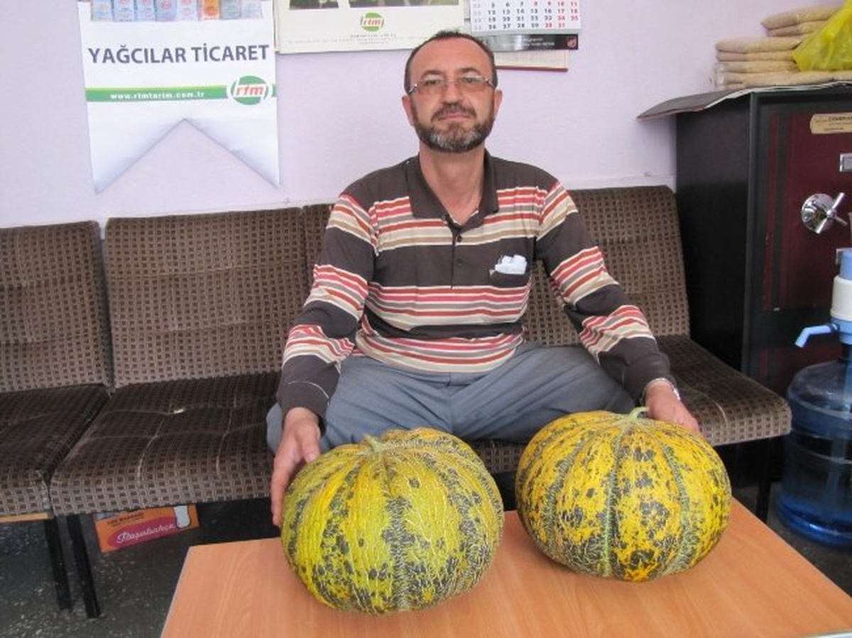 Kavun Yetiştiriciliğinde Tavuk Gübresi Farkı