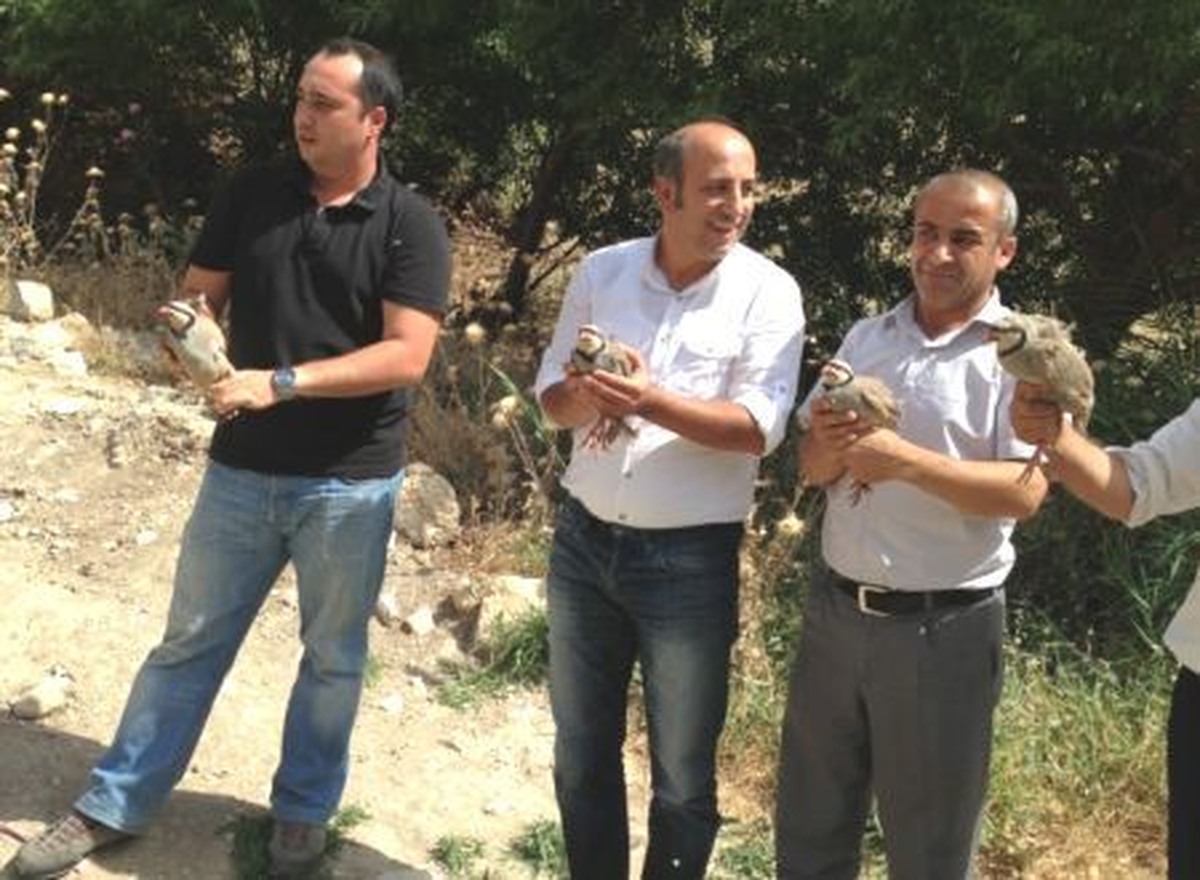 Kınalı Keklikler Doğaya Bırakıldı