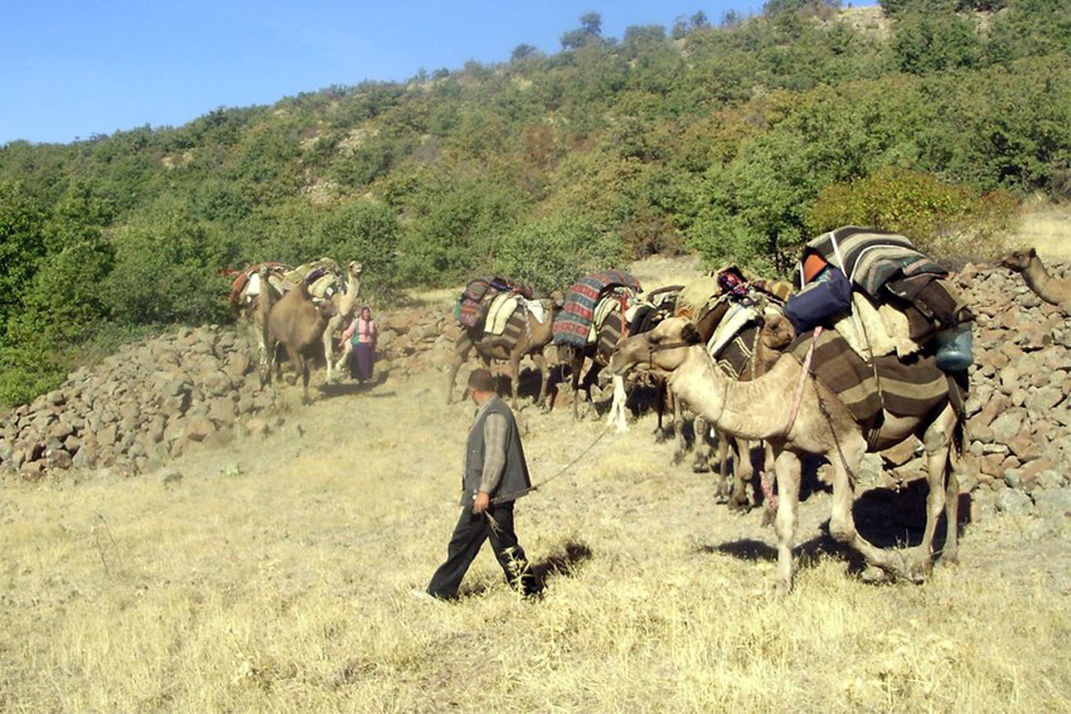 KMÜ\'den Yörüklerin Yaşamına Yönelik Proje