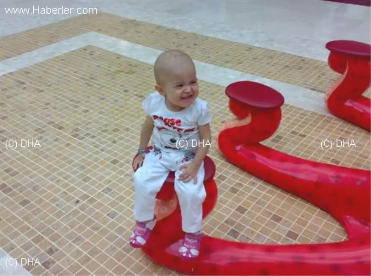 Minik Ecrin Organlarıyla Hayat Verecek