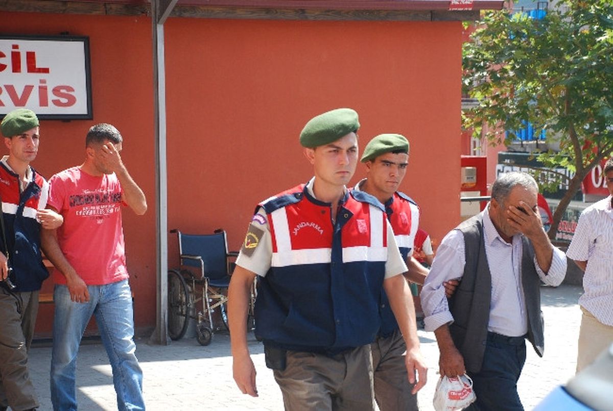 Mısır Tarlasında 30 Bin Kök Hint Keneviri Ele Geçirildi