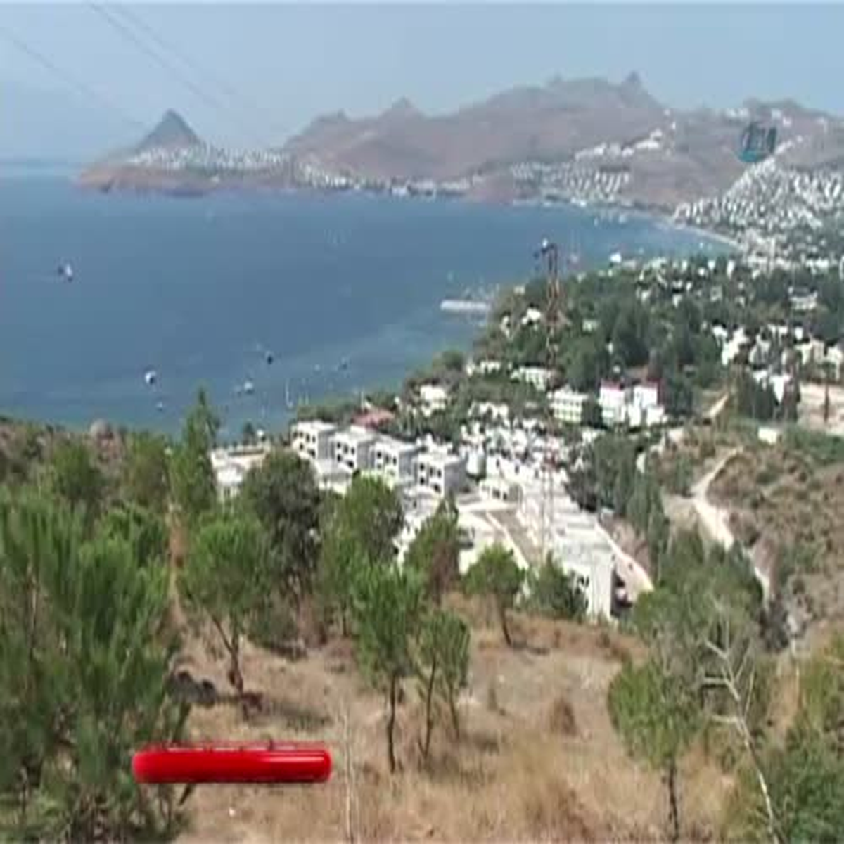 Muğla\'daki Yangın Sonrası Acı Gerçek Ortaya Çıktı
