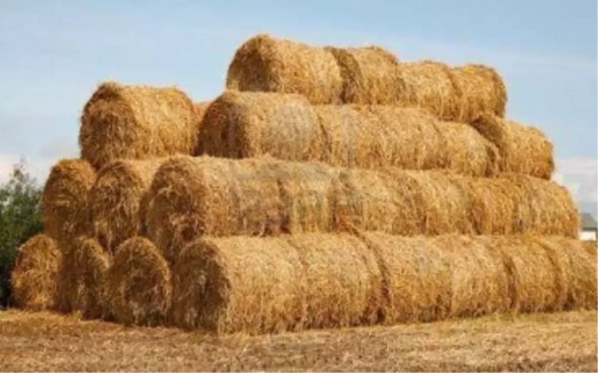 Sarıkamış\'ta Saman Fiyatları Düştü