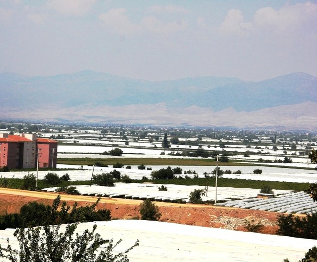 Sultaniye Bağları, Beyaza Büründü
