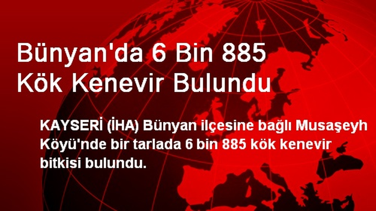 Bünyan\'da 6 Bin 885 Kök Kenevir Bulundu